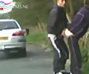 una mamada disimulada cerca de la autopista