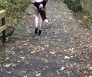 kinky lady desfiles casi desnudas en el bosque